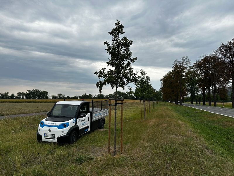 Goupil G6 Knížecí alej